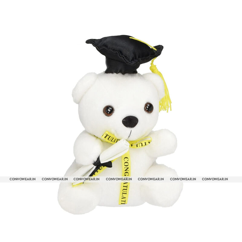 Graduation Teddy Bear White