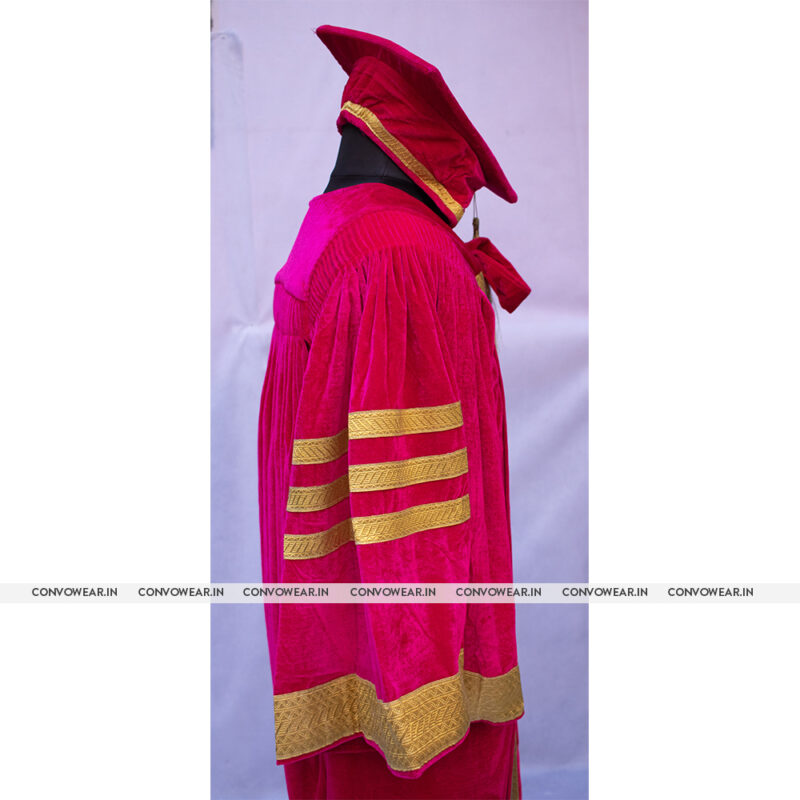 Pink Velvet Dignitaries Gowns & Hat